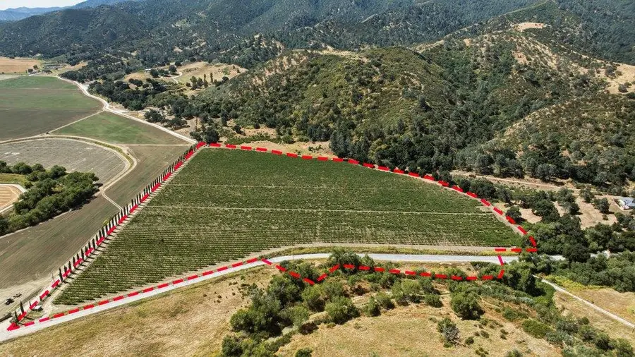 24.5 Acres Cienega Road, Hollister, CA 95023 - #2