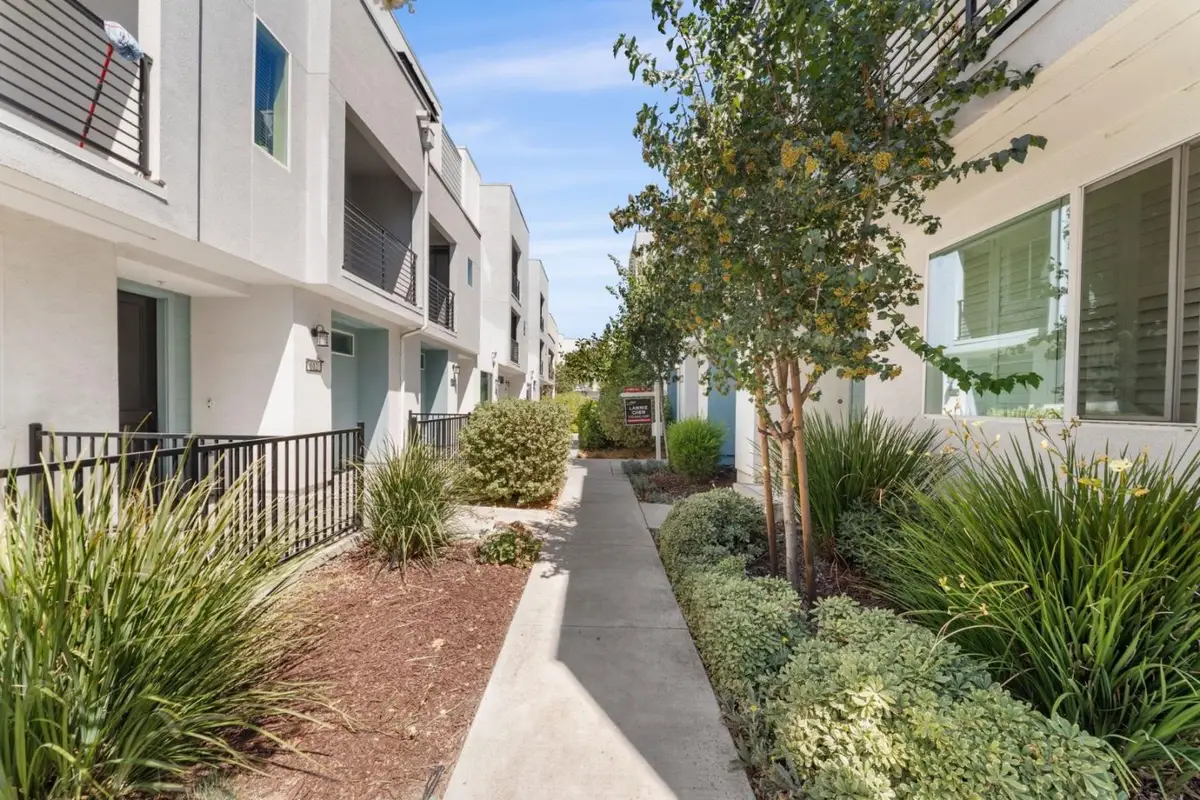 709 Fruit Ranch Loop, San Jose, CA 95133 - #1