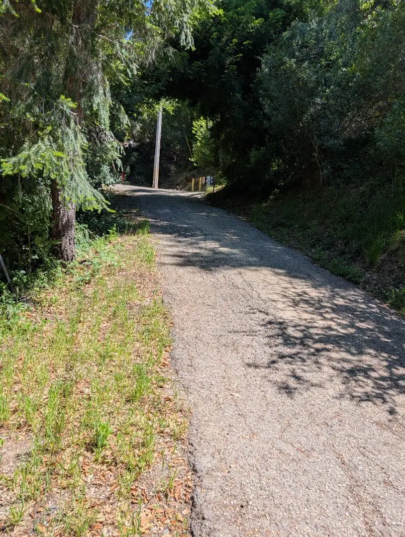 18770 Kelly (Mustang Mesa), Boulder Creek, CA 95006 - #2