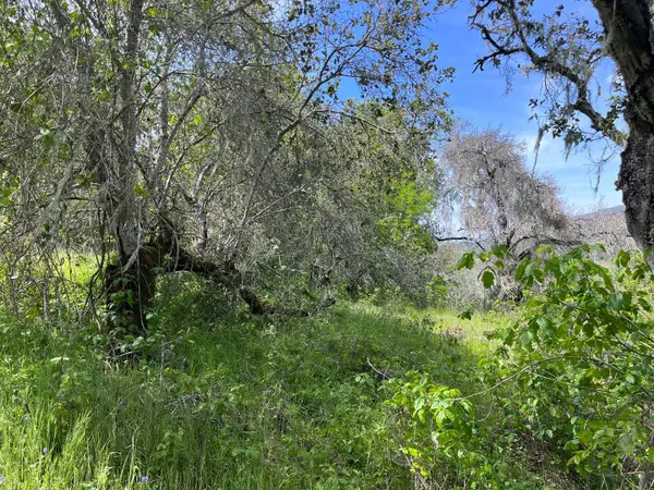 33446 Carmel Valley Road, CARMEL VALLEY, CA 93924