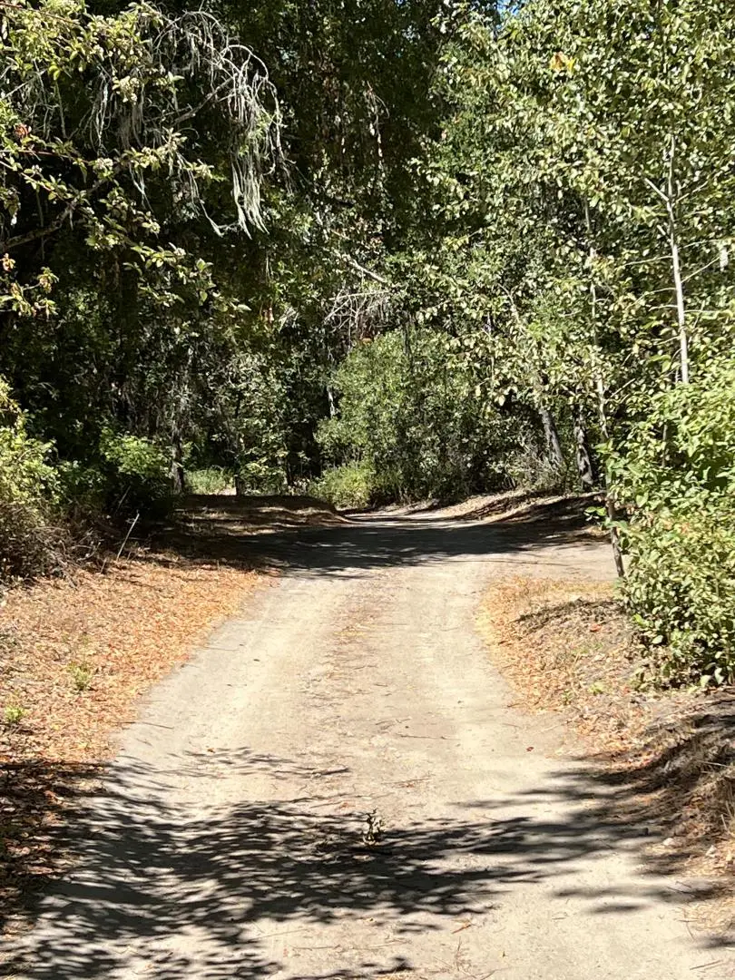 33446 Carmel Valley Road, Carmel Valley, CA 93924 - #2