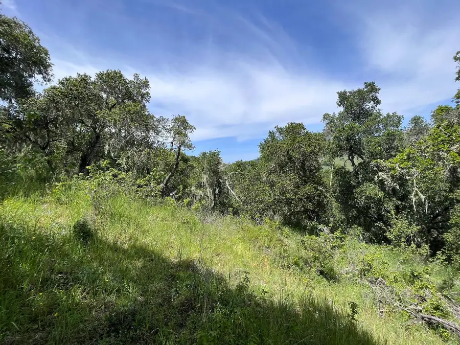 33446 Carmel Valley Road, Carmel Valley, CA 93924 - #3