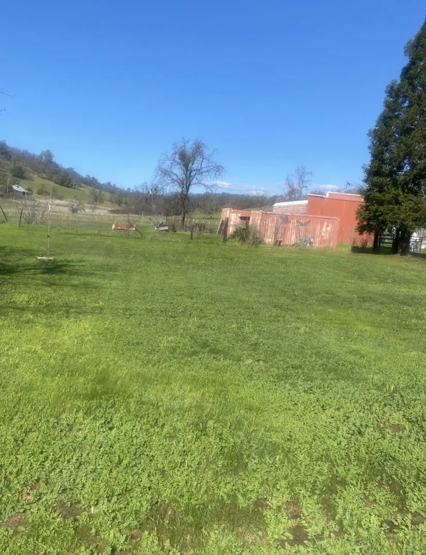 9123 Landrum Street, Plymouth, CA 95669 - #3