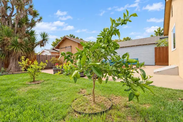 109 Clifford Avenue, Watsonville, CA 95076