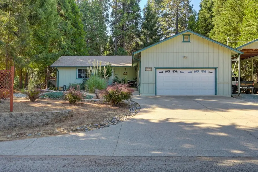 16567 Meadow Vista Drive, Pioneer, CA 95666 - #2