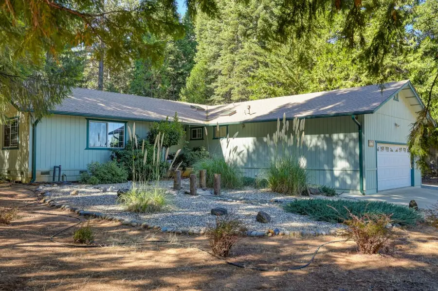 16567 Meadow Vista Drive, Pioneer, CA 95666 - #3