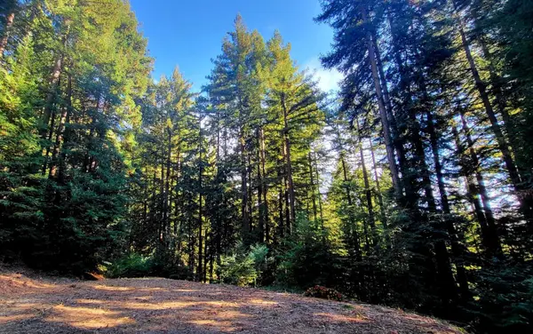 0 Redwood Lodge Road, LOS GATOS, CA 95033