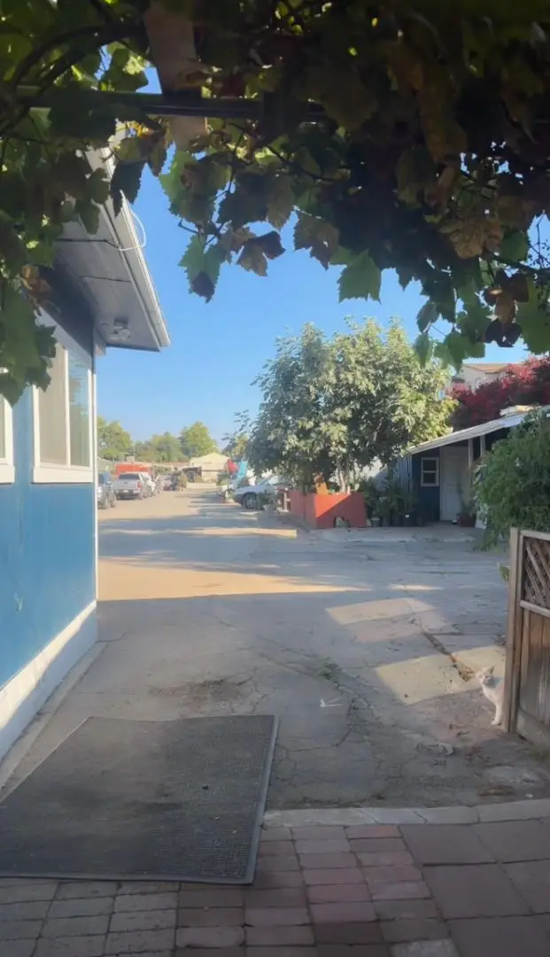 527 Mclaughlin Avenue, San Jose, CA 95116 - #3