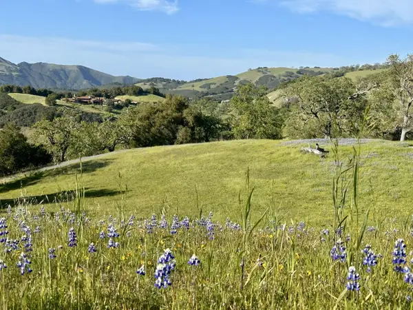 8 Touche Pass (Lot 158), CARMEL, CA 93923