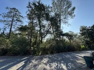 0 Burleigh Drive, Pasadena, CA 91105 - #1