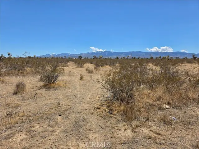 0 Duncan Road, Phelan, CA 92371 - #1