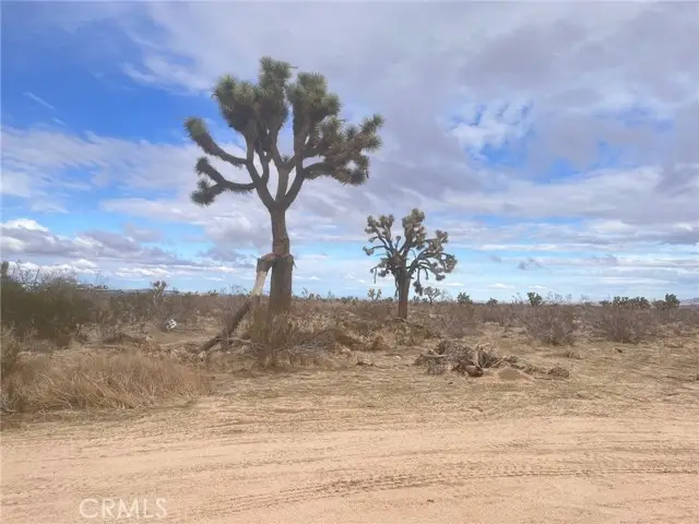 0 Dos Palmas Rd Road, Phelan, CA 92371 - #1