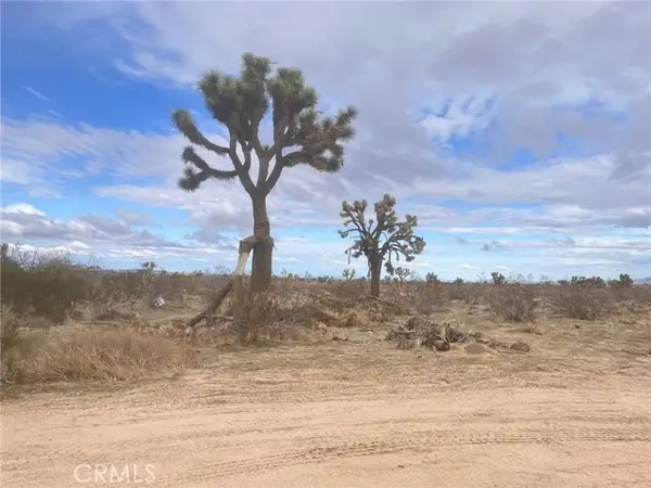 0 Dos Palmas Rd Road, Phelan, CA 92371
