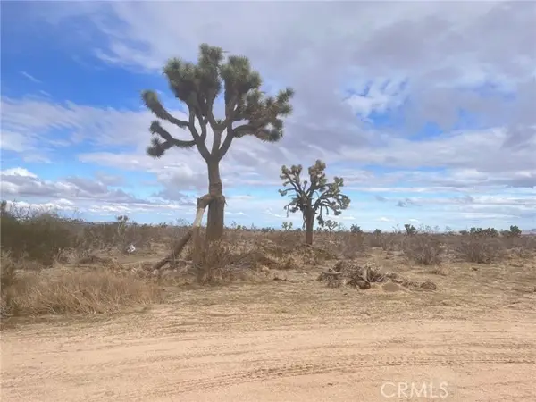 0 Dos Palmas Rd Road, Phelan, CA 92371