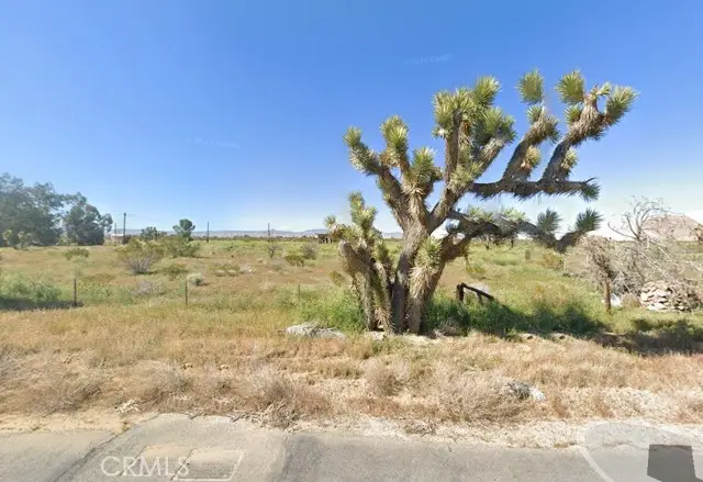 5473 Backus Road, Mojave, CA 93501 - #1