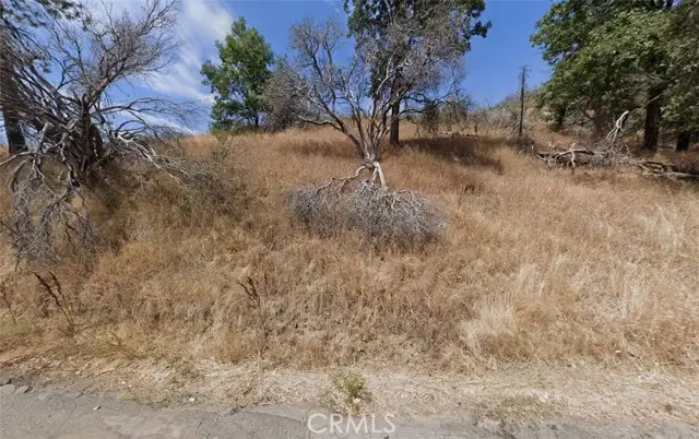 37800 Peterson Road, Auberry, CA 93602 - #2