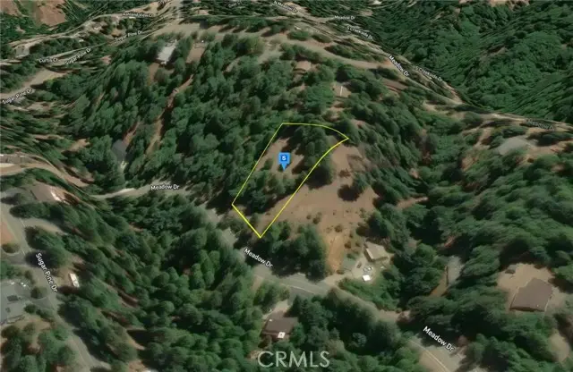 25465 Meadow Drive, Pioneer, CA 95666 - #3
