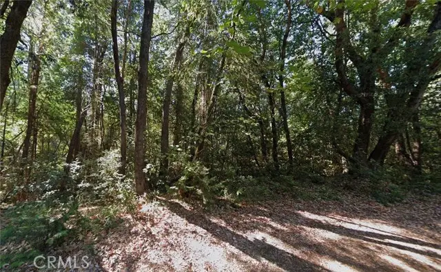 10807 Forbestown Road, Challenge, CA 95925 - #2