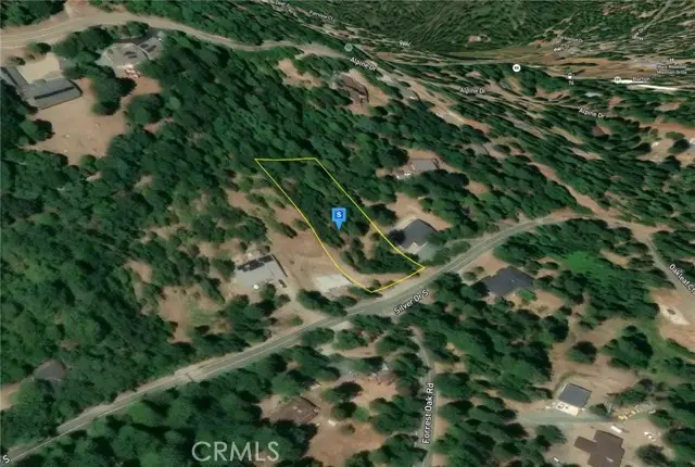 16735 Silver Drive, Pioneer, CA 95666 - #3