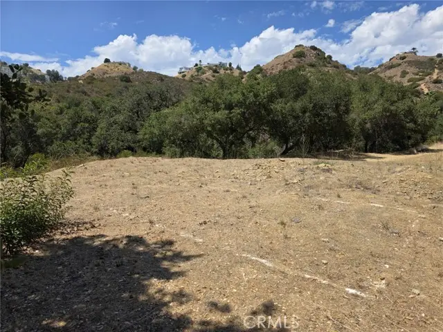 137 Buckskin, West Hills, CA 91307 - #3