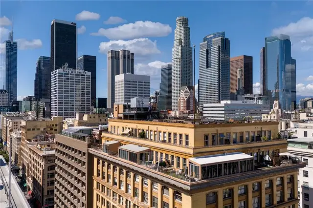 215 7th, Los Angeles, CA 90014 - #3