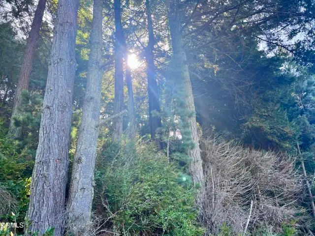 15301 Forest View Road, Manchester, CA 95459 - #1