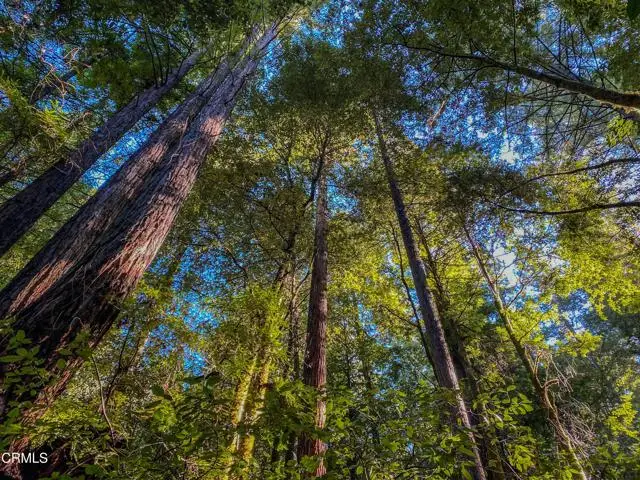 0 Irmulco Road, Willits, CA 95490 - #3