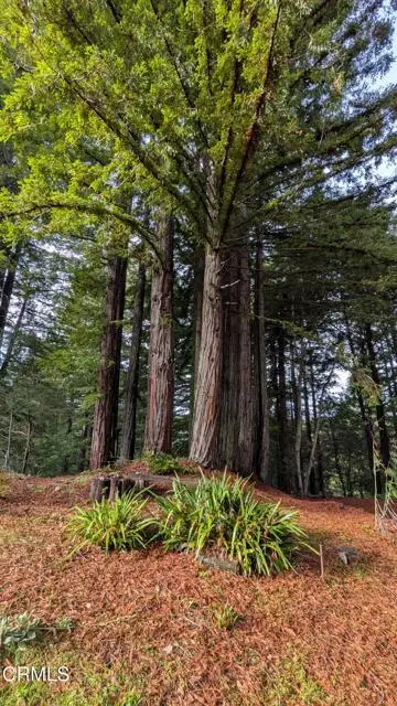 19800 Appaloosa Way, Navarro, CA 95463 - #3