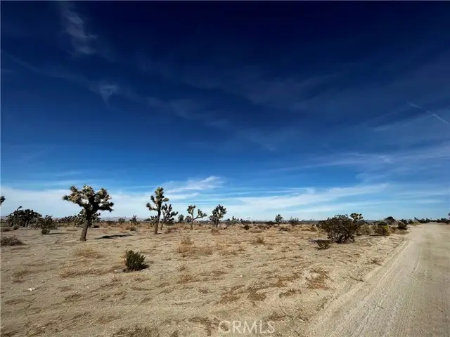 0 Arcadia, Pinon Hills, CA 92372 - #2