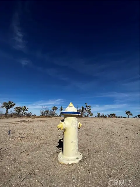 0 Arcadia, Pinon Hills, CA 92372 - #3