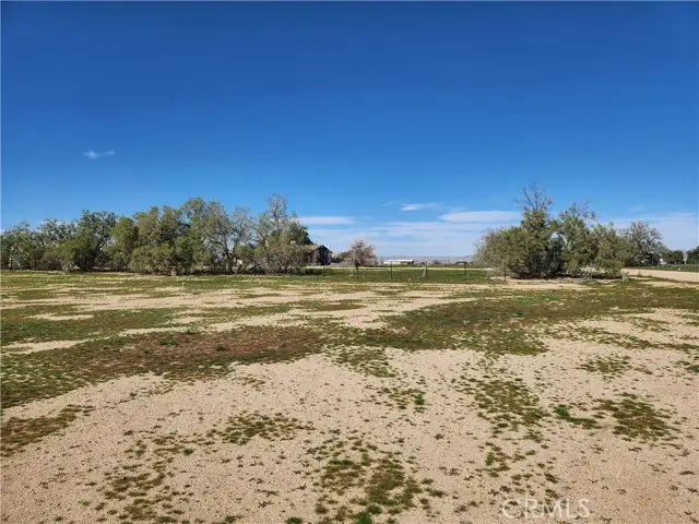 0 Yucca Rd, Newberry Springs, CA 92365 - #1