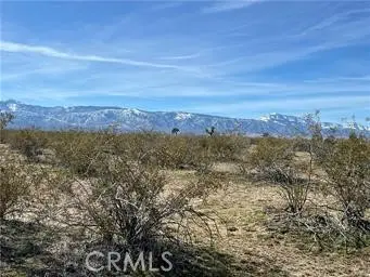 0 South Street, Phelan, CA 92371 - #2