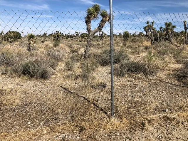 10823 Daisy Court Lane, Pinon Hills, CA 92372 - #2