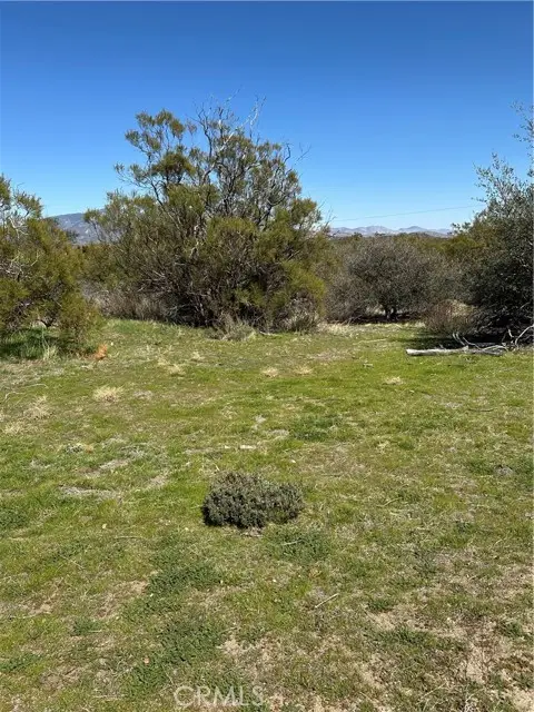 44805 Chapman Road, Anza, CA 92539 - #1