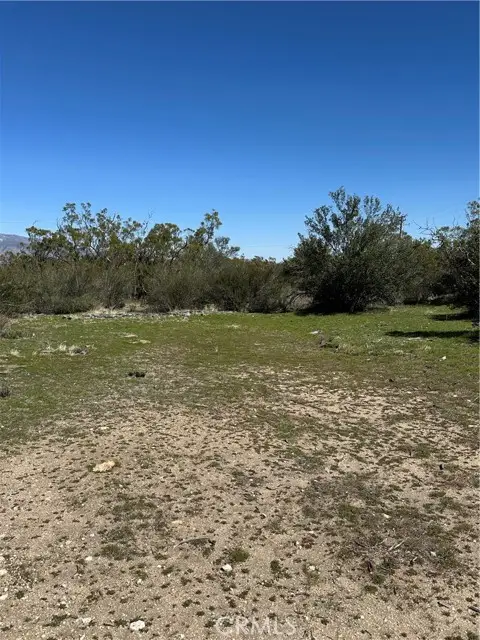 44805 Chapman Road, Anza, CA 92539 - #3