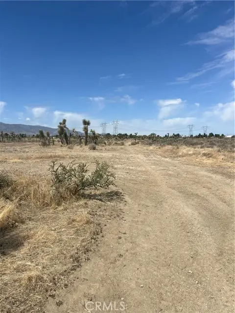 0 Holly St, Phelan, CA 92371 - #1