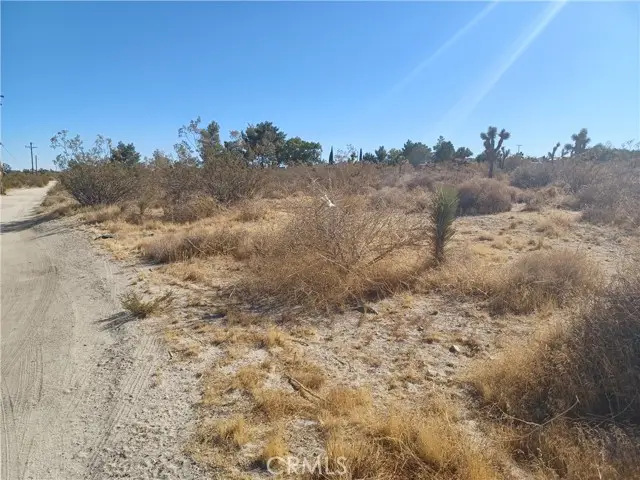 0 Sierra Road, Pinon Hills, CA 92372 - #2