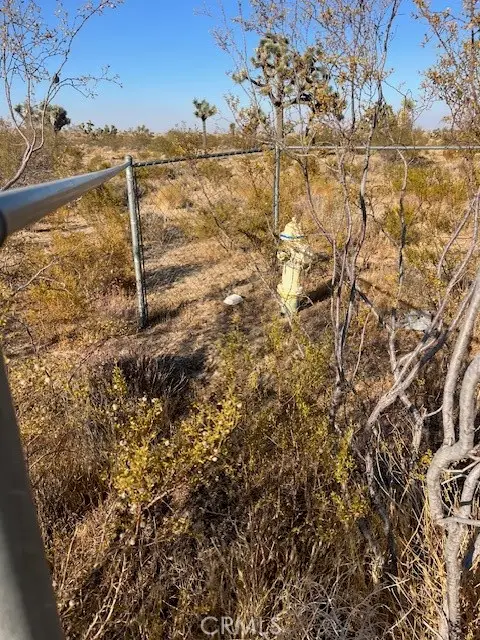 5202 La Mesa Road, Phelan, CA 92371 - #1