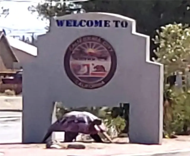 0 California Ctiy Boulevard, California City, CA 93505 - #3