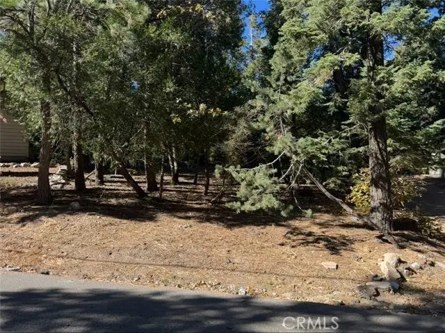 0 Clubhouse Drive, Twin Peaks, CA 92391 - Image #1