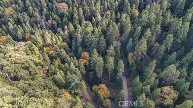 0 Deer Run Road, Cedarpines Park, CA 92322 - #3