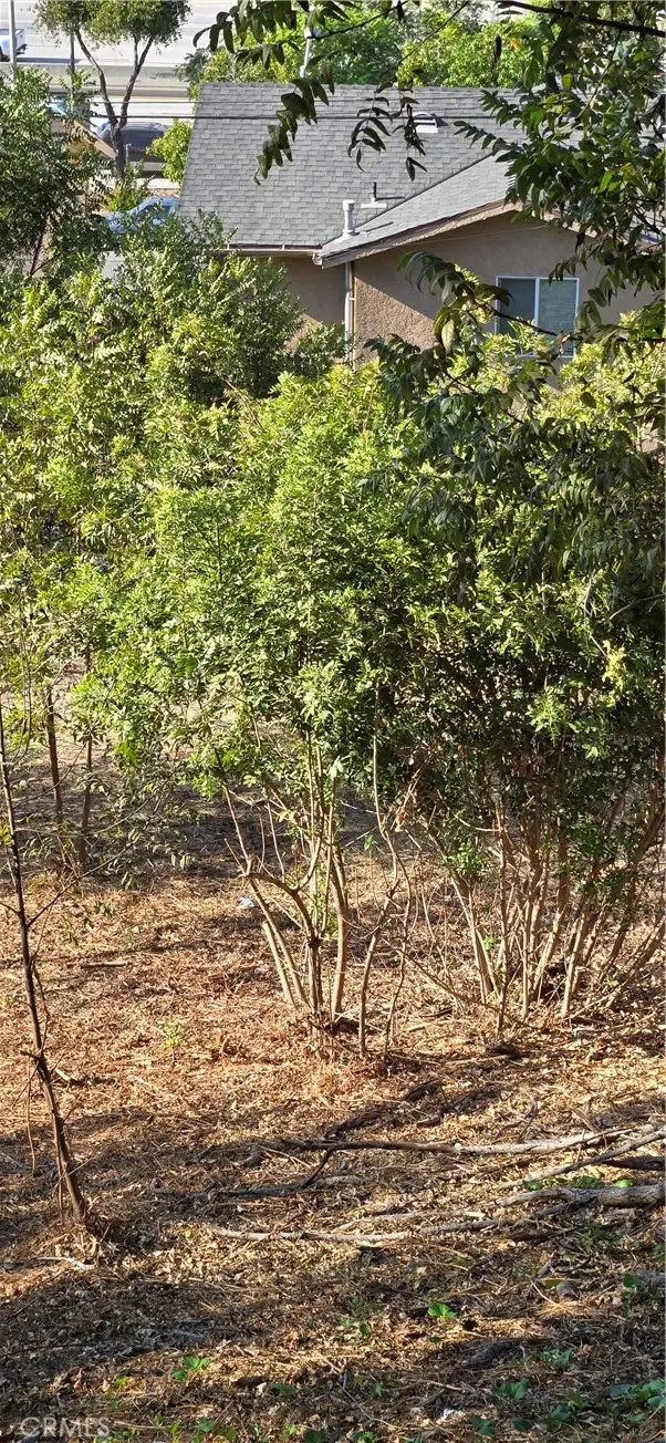 3717 Woolwine Drive, Los Angeles, CA 90063 - Image #3