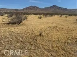 0 Hwy 15, Oro Grande, CA 92368 - #2