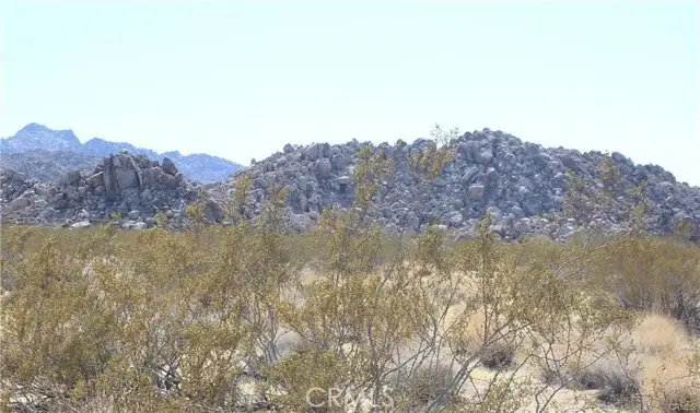 66250 Sullivan Road, Joshua Tree, CA 92252 - Image #3