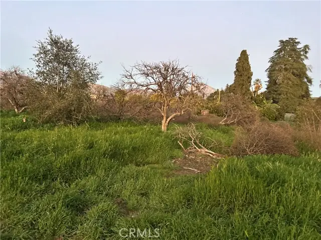 400 Walnut Avenue, Redlands, CA 92373 - #3