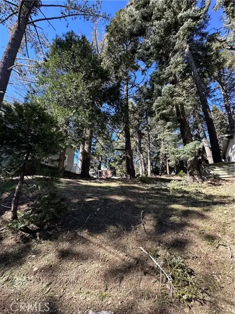 742 Victoria Court, Lake Arrowhead, CA 92352 - #1