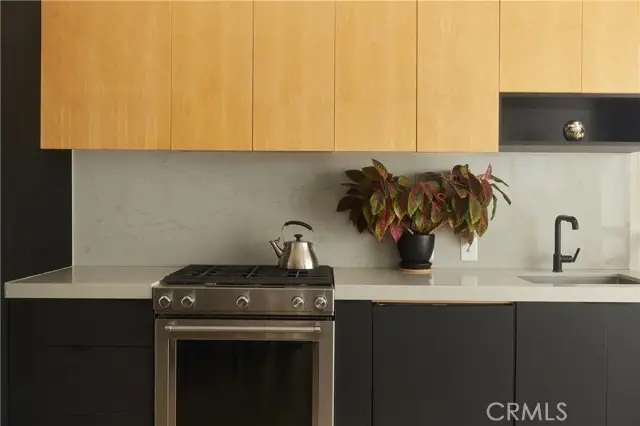 315 8th Street  #205, Los Angeles, CA 90014 - #2