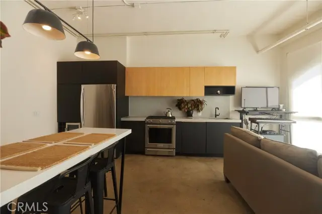 315 8th Street  #205, Los Angeles, CA 90014 - #3