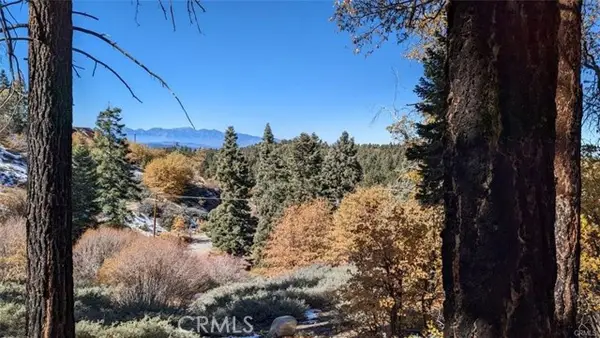 0 San Antonio Drive, Green Valley Lake, CA 92341