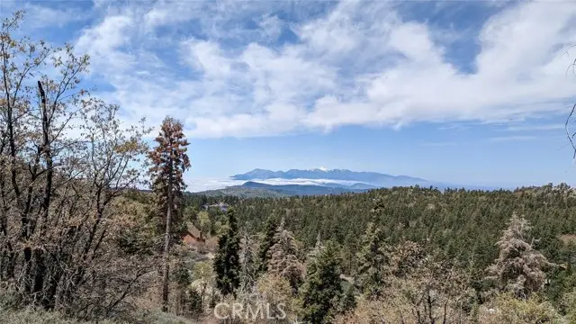 0 San Antonio Drive, Green Valley Lake, CA 92341 - #2